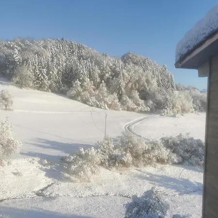 Thomas's Loft * Stuhlingen