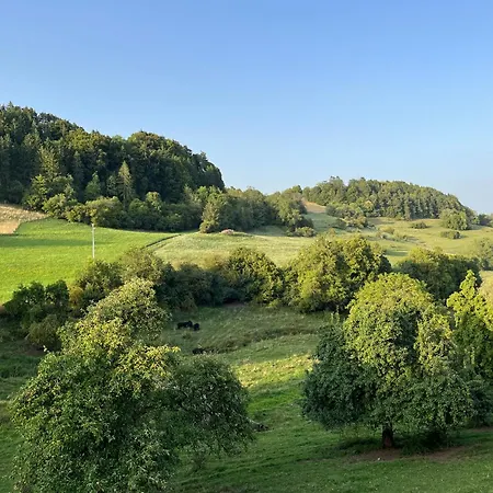 Thomas's Loft Appartamento Stuhlingen