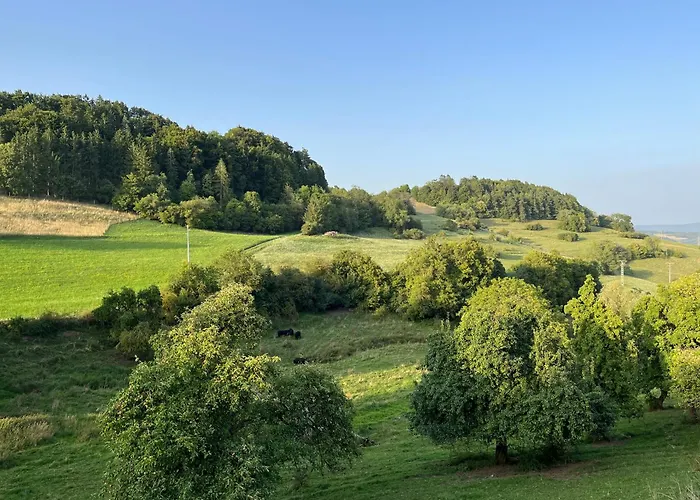 Thomas's Loft Lejlighed Stuhlingen